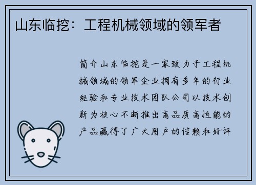 山东临挖:工程机械领域的领军者 山东临挖:工程机械领域的领军者