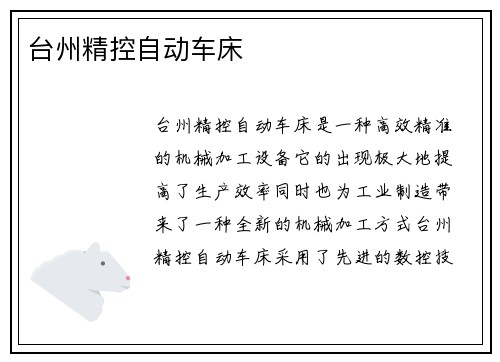 台州精控自动车床 台州精控自动车床